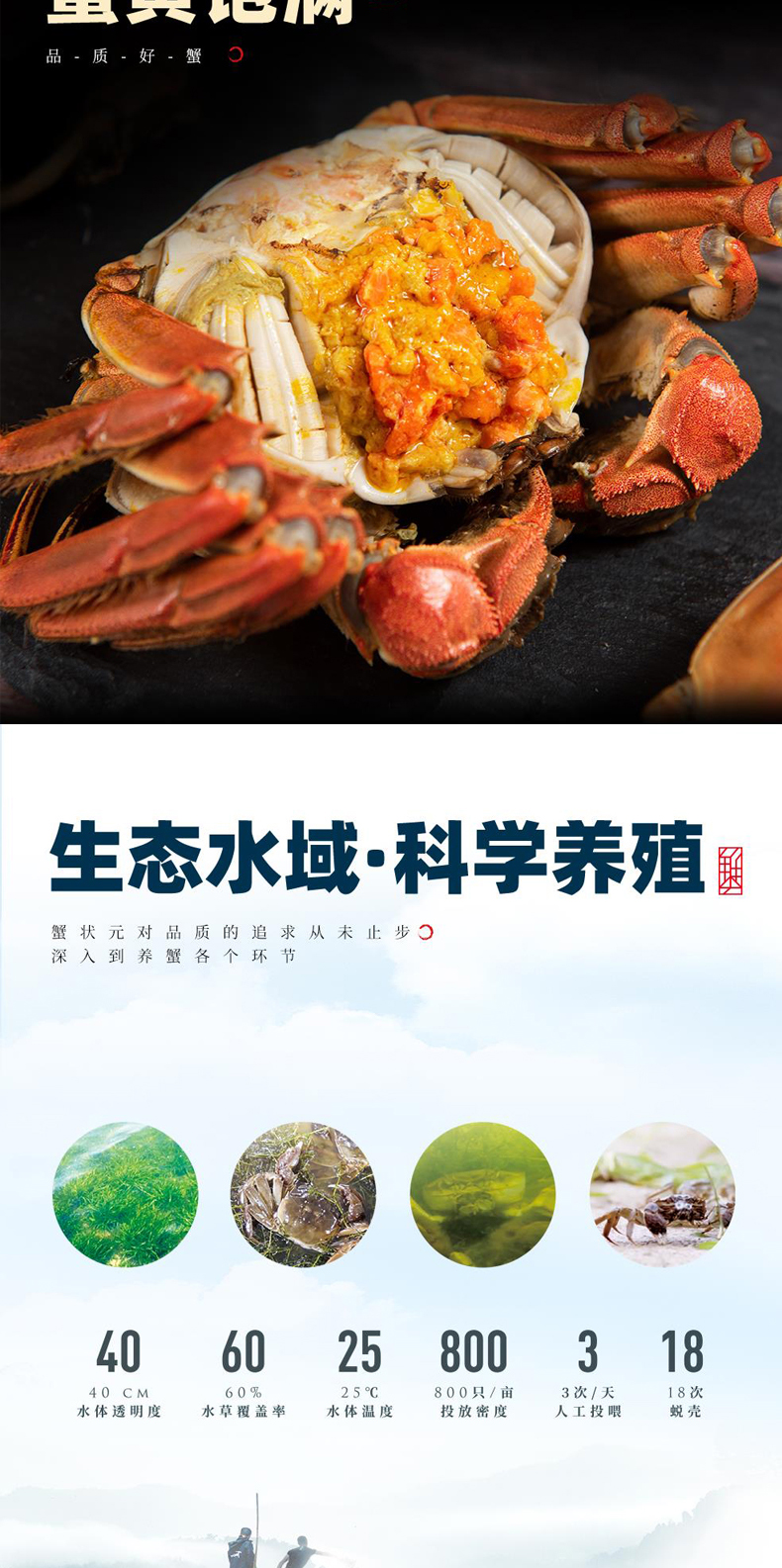 详情页改_08.jpg