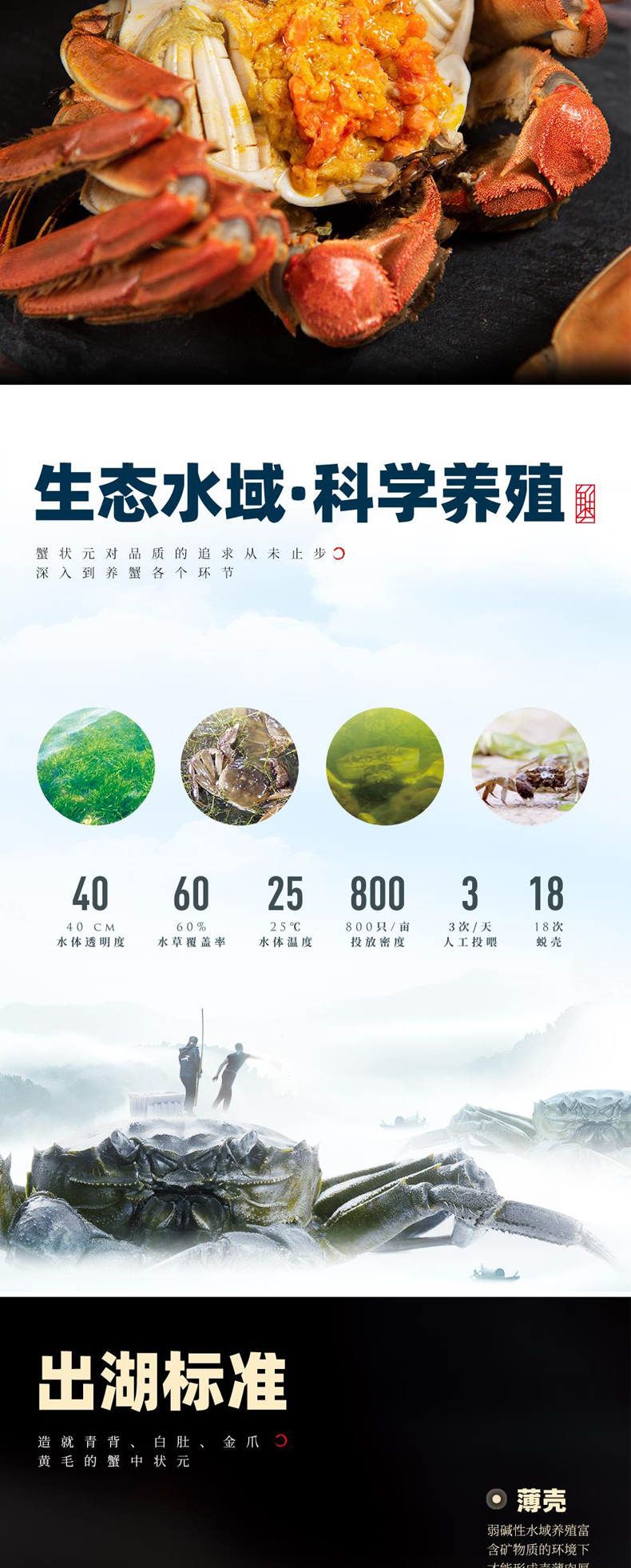 详情页_07.jpg