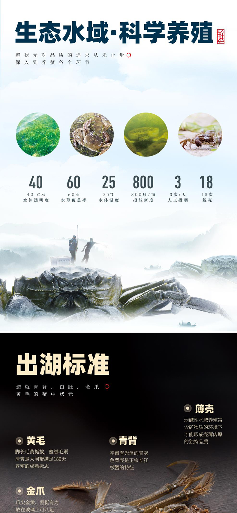 详情页_08.jpg