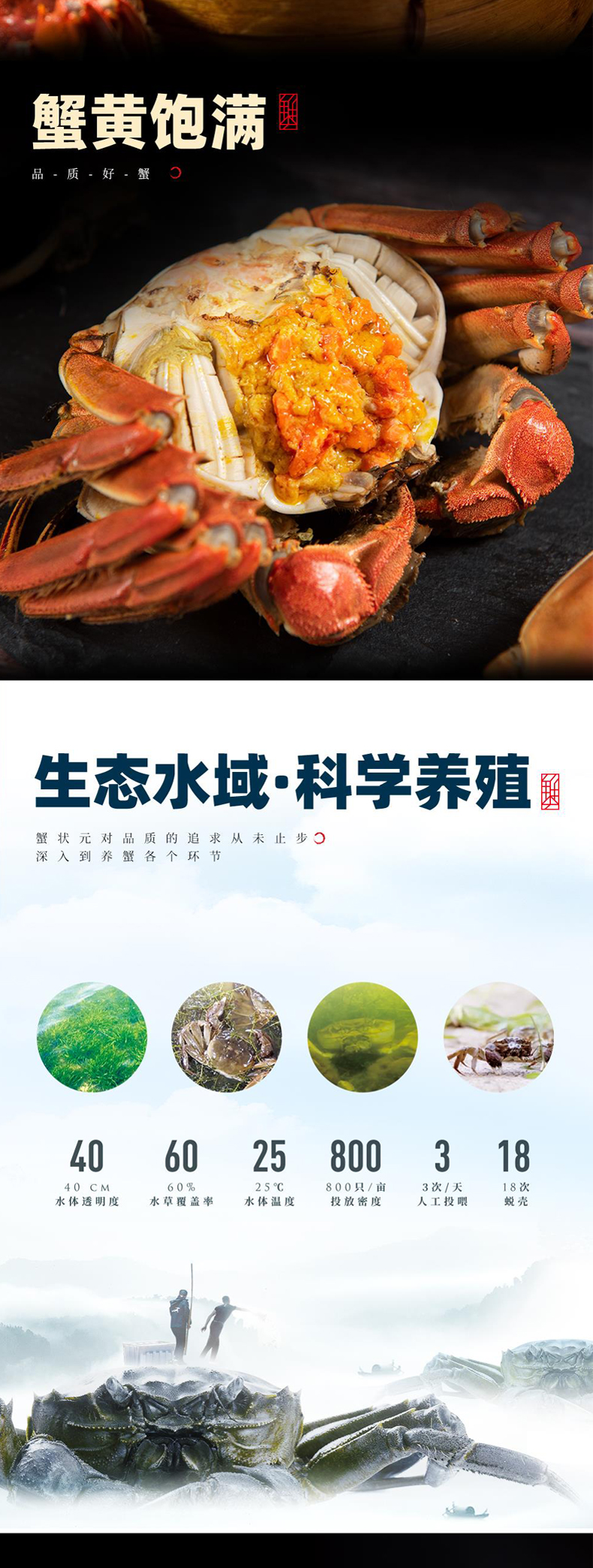 详情页_07.jpg