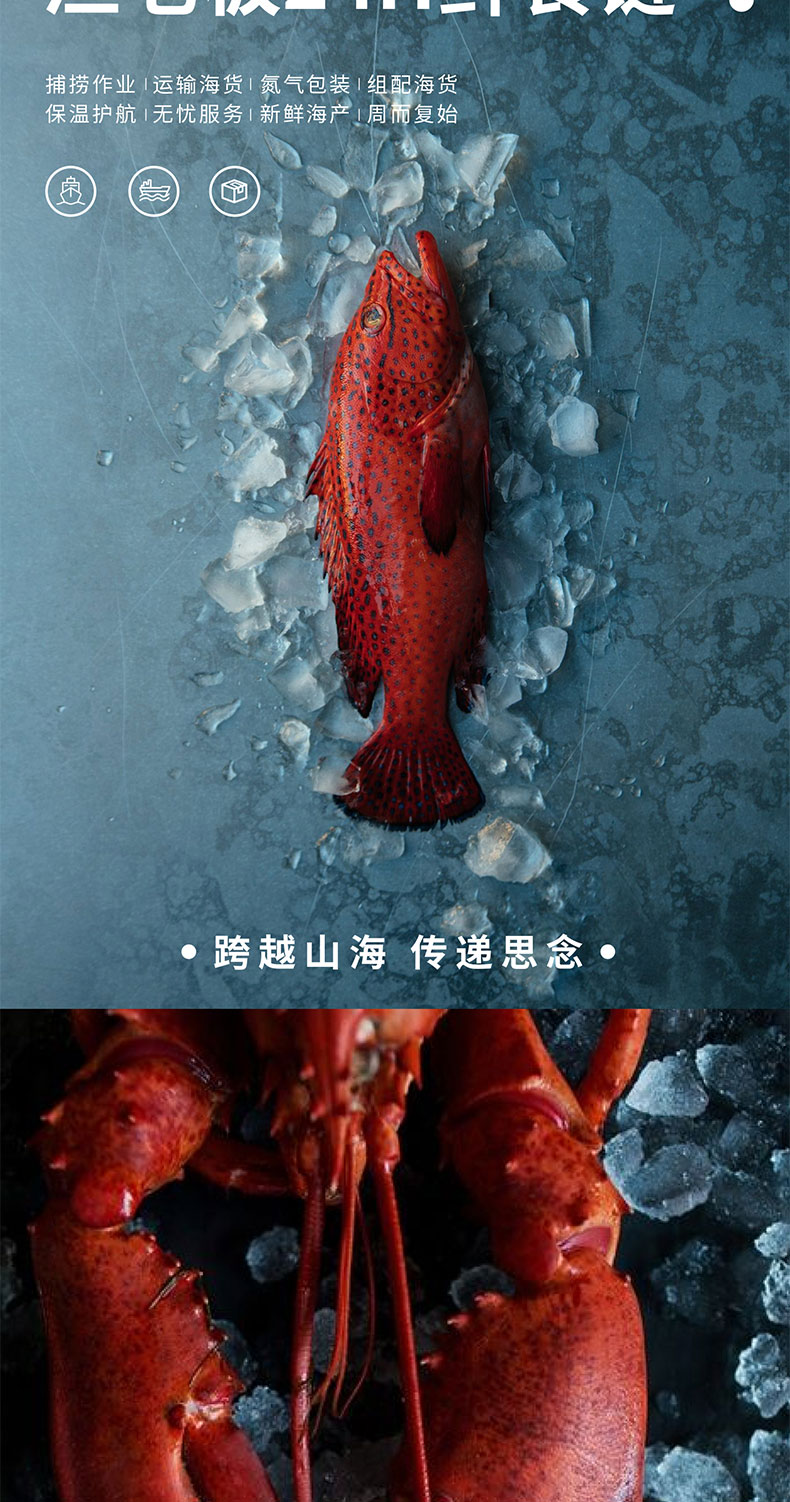 7900qietu_02.jpg