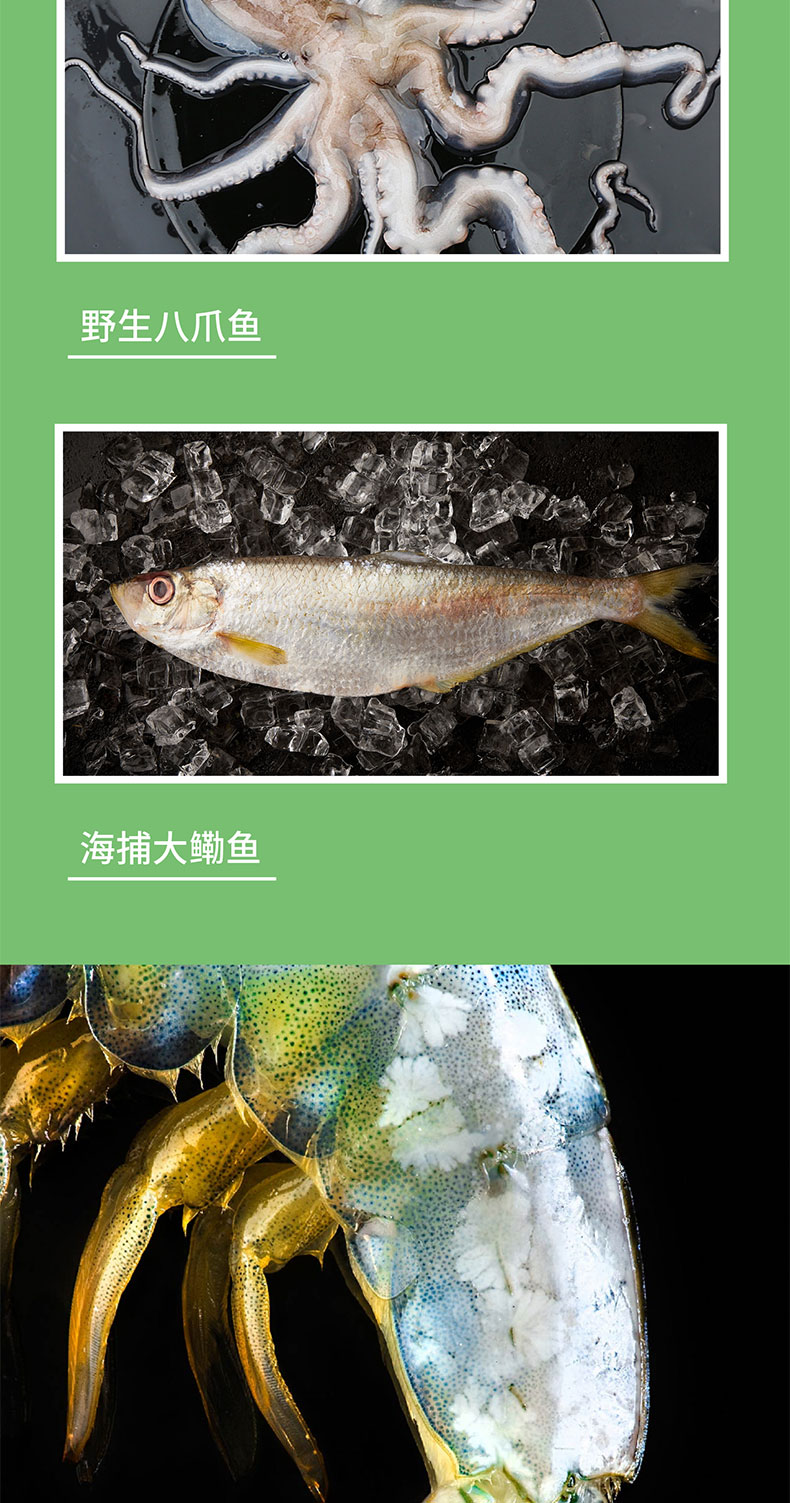 7900qietu_08.jpg